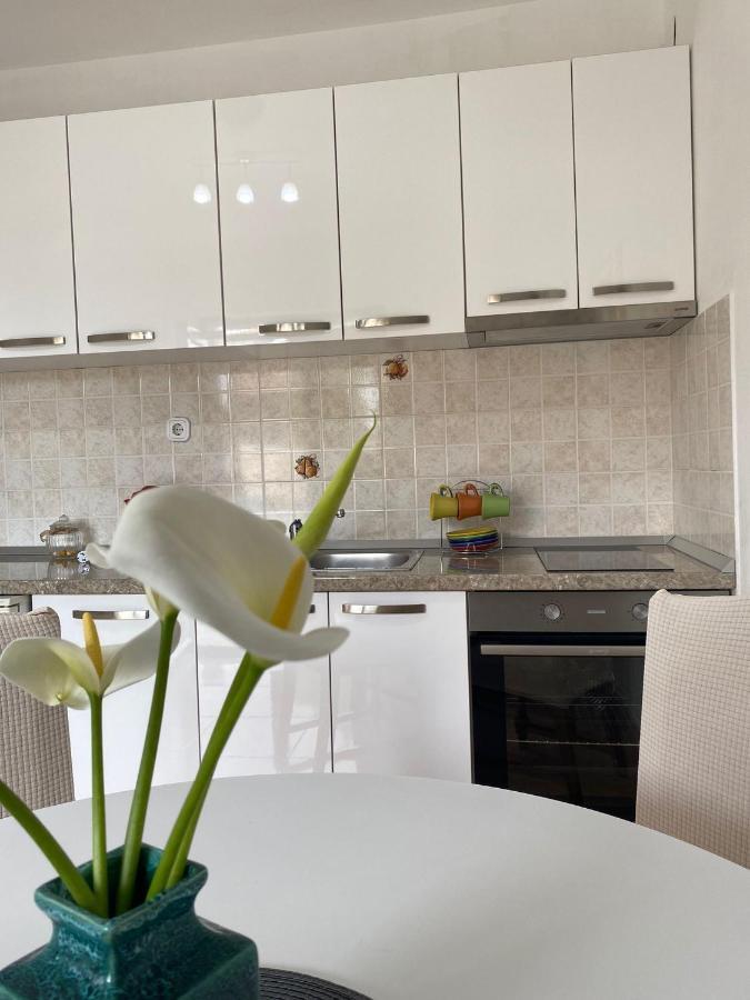 Čilipi Studio Apartment Novak מראה חיצוני תמונה